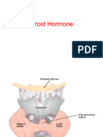 Thyroid Hormone