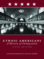 Ethnic Americans: Immigration and American Society