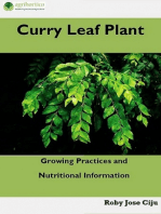 Curry Leaf Plant: Growing Practices and Nutritional Informations