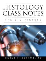 Histology Class Notes: The Big Picture