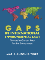 Gaps in International Environmental Law: Toward a Global Pact for the Environment