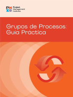 Process Groups: A Practice Guide (SPANISH)