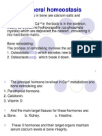 Mineral Homeostasis Bone