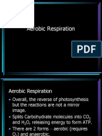 Aerobic Respiration