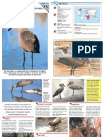 Wildlife Fact File - Birds - Pgs. 131-140