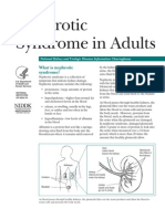 Nephrotic Syndrome Adults