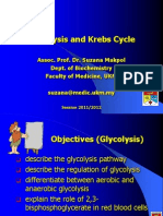 2.glycolysis Kreb O.P