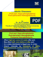 Post Parturient Hemoglobinuria