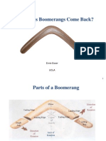 Esser - What Makes Boomerangs Come Back