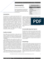 Bryophytes (Liverworts) PDF