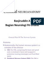 2 Neuroanatomy