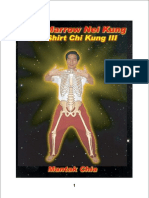 Mantak Chia - Bone Marrow Nei Kung - Iron Shirt Chi Kung III