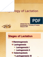 Physiology of Lactation