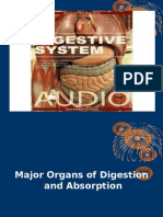 Major Organs of Digestion and Absorption