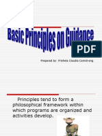 Basic Principles On Guidance (And Counseling)