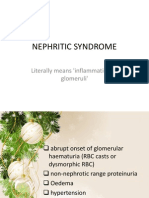 Nephritic Syndrome