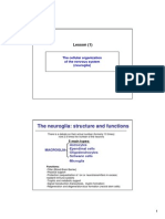 Neuroglia - PDF (Ingles)