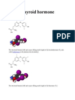 Thyroid Hormon