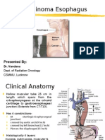 Carcinomaoesophagus 120403111516 Phpapp02