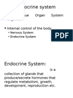 Endocrine System