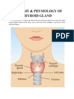 Anatomy & Physiology of Thyroid Gland