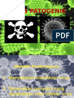 Virus Patogenik: Hishamuddin Bin Ahmad