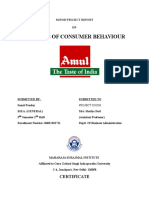 Amul Internship File