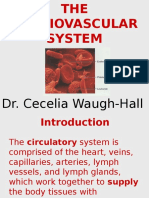 Lecture 1 Cardiovascular System