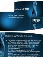 The Structure of DNA: Prof. Dr. Dalal Elkaffash Clinical Pathology Dept