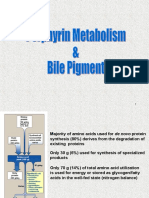 Metabolisme Porfirin 2013