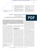 Where Hypertension Happens: Commentaries