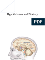 Hypothalamus and Pituitary