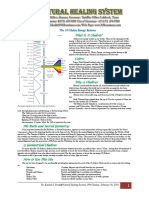 13 Chakra Energy Systems Workbook Letter