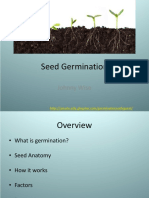 Seed Germination