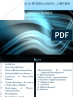 Bioremediation of Hydrocarbon