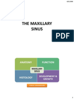 Maxillary Sinus