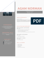 Agam Norman: Work Experiences