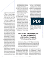 Cell Surface Trafficking of Fas: A Rapid Mechanism of P53-Mediated Apoptosis