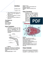 Phylum Platyhelminthes: Class Trematoda