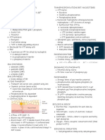 Oxidative Phosphorylation Glycolysis: 2 Phosphates Krebs/citric/TCA Cycle: 1 Phosphate