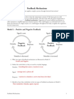 27 Feedback Mechanisms Pogil Key