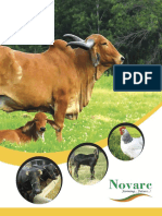 Novarc Veterinary Brochure