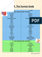 Vocabulary of The Human Body