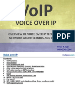 Voice Over IP (VoIP)