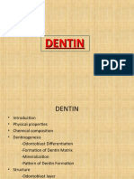 Dentin