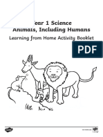 Year 1 Science Learning From Home (Animals, Including Humans) Activity Booklet