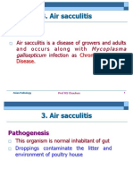 Air Sacculitis