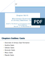 Chapter 9&10: Microscopic Examination of Urinary Sediment: Casts