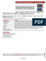 Evaluation of C. Albicans Induced Wound Healing Activity of Methanolic Leaf Extract of Andrographis Paniculata