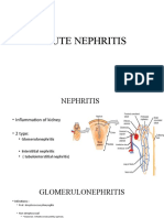 Nephritis